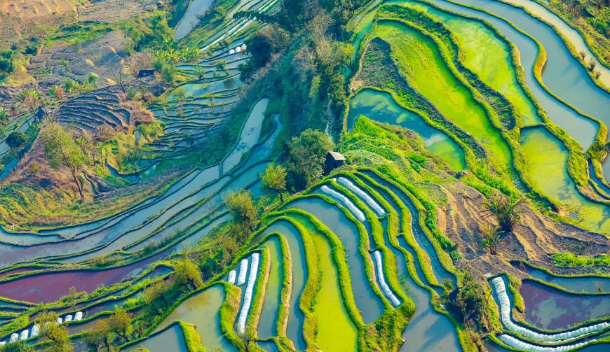 宝妈必备神器：石柱产品视频拍摄轻松育儿好帮手